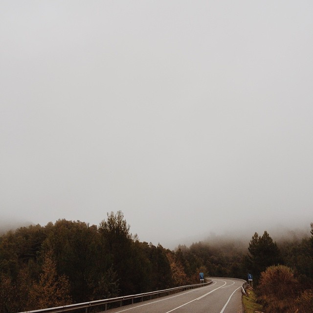 elizabeth lies fog road